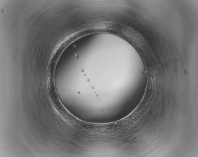 X0000067950728200604171435