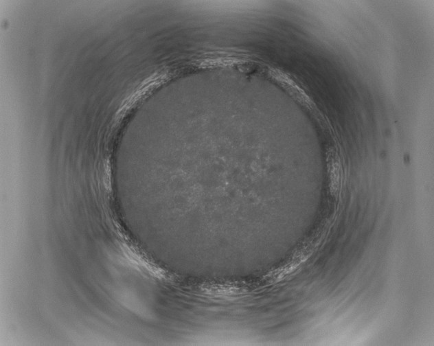 X0000067950729200604171435