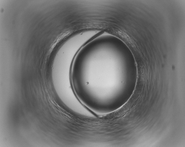 X0000067950731200604171435