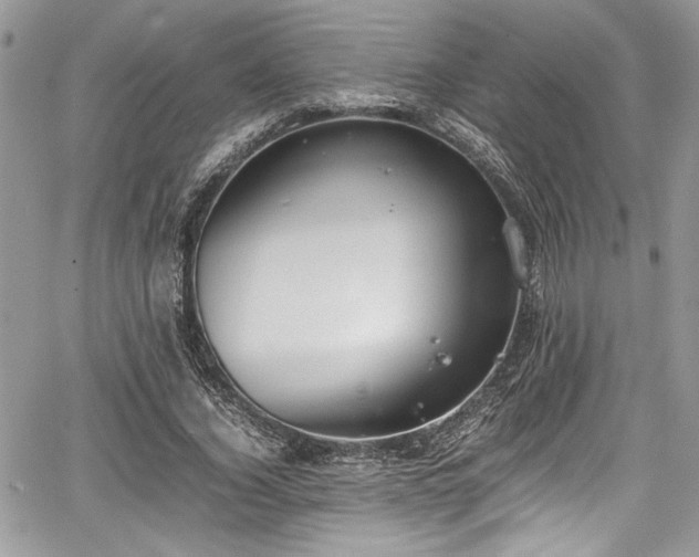 X0000067950732200604171435