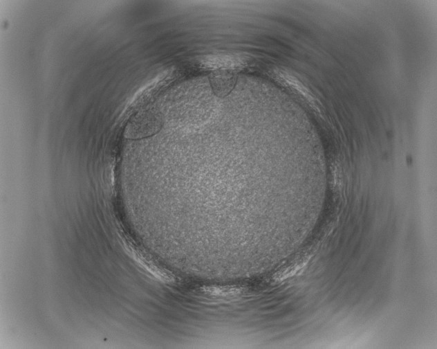 X0000067950733200604171435