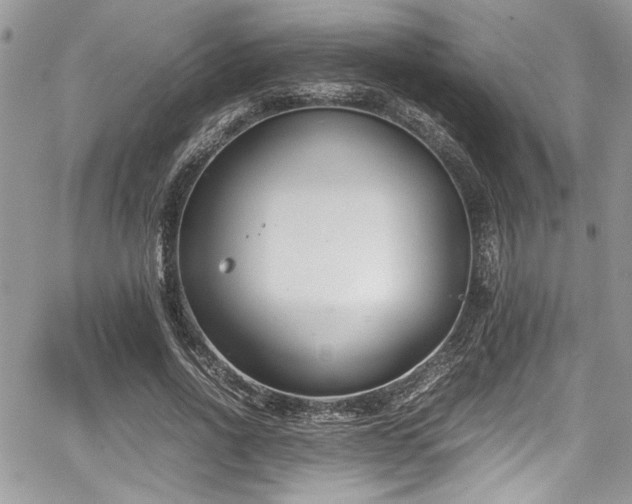 X0000067950734200604171435