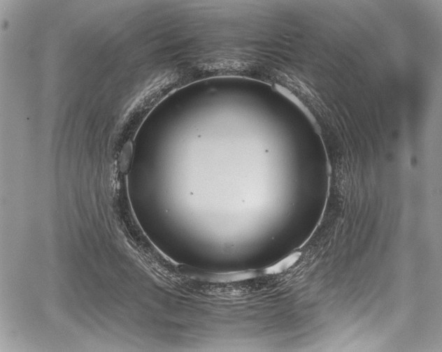 X0000067950735200604171435