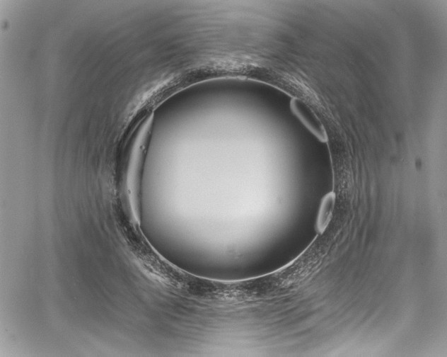 X0000067950736200604171435