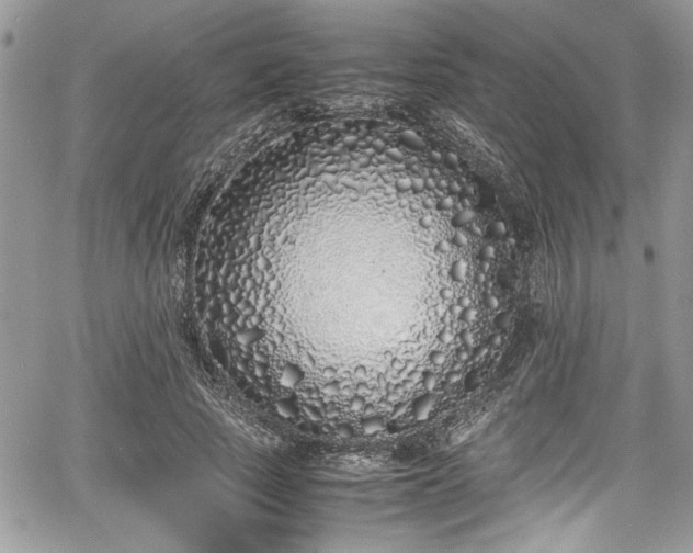 X0000067950737200604171435