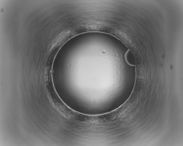 X0000067950738200604171435