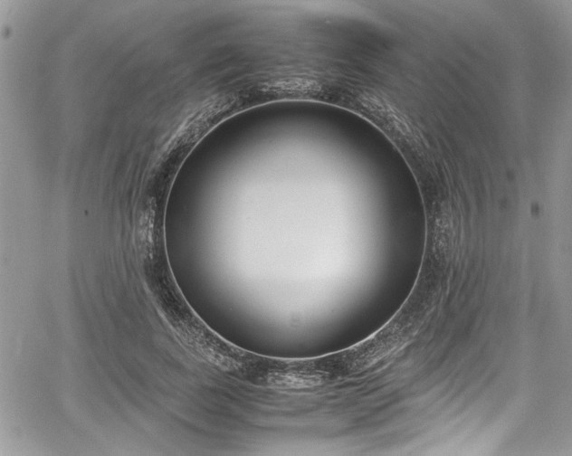 X0000067950739200604171435