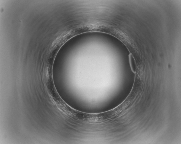 X0000067950740200604171435