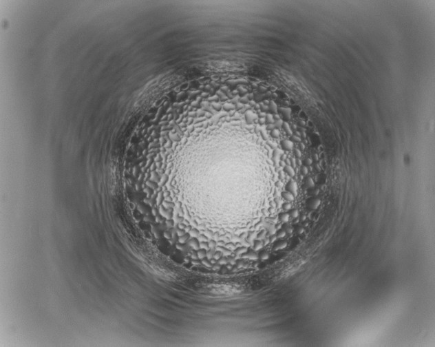 X0000067950741200604171435