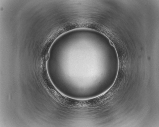 X0000067950742200604171435