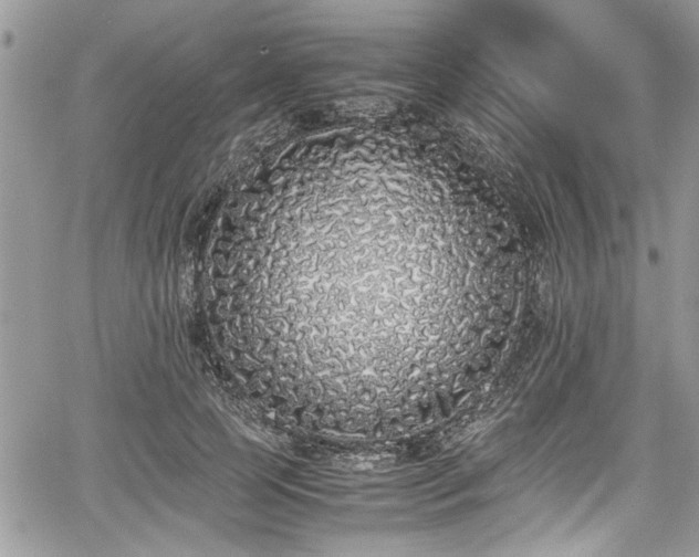 X0000067950745200604171435