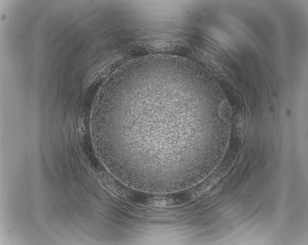 X0000067950746200604171435