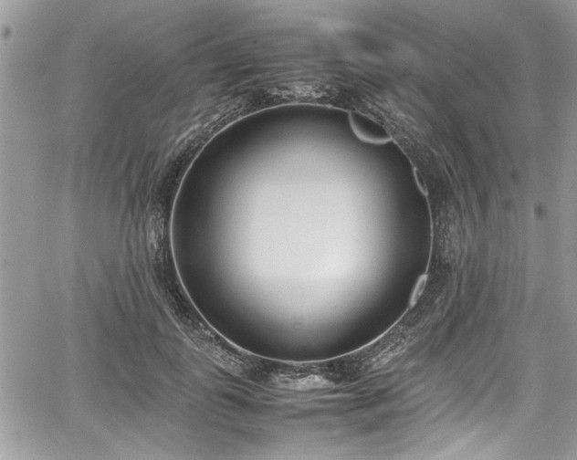 X0000067950747200604171435