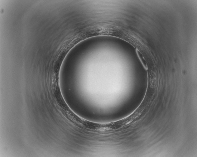 X0000067950748200604171435