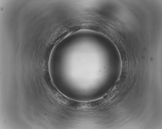 X0000067950750200604171435