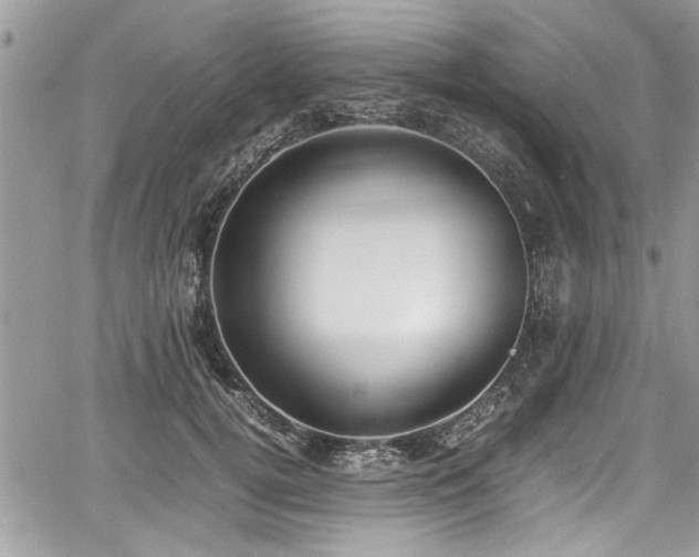 X0000067950752200604171435