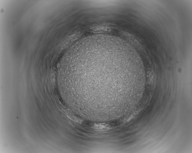 X0000067950753200604171435