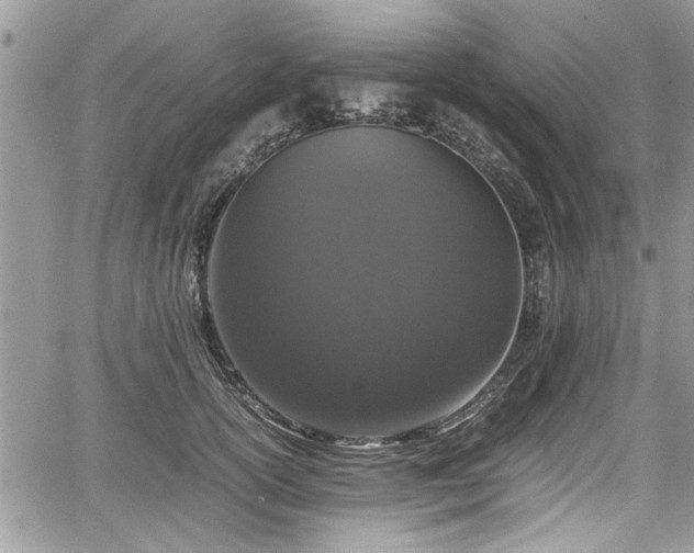 X0000067950754200604171435