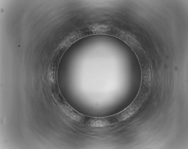 X0000067950755200604171435