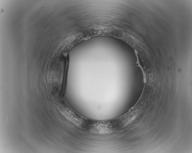 X0000067950756200604171435