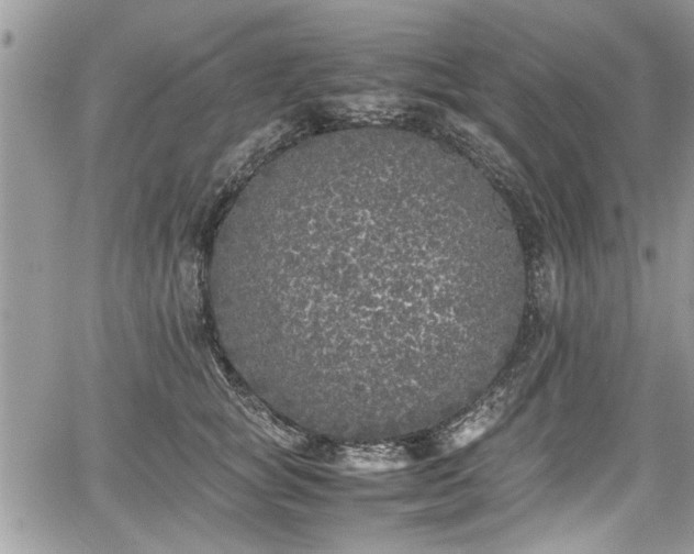 X0000067950757200604171435