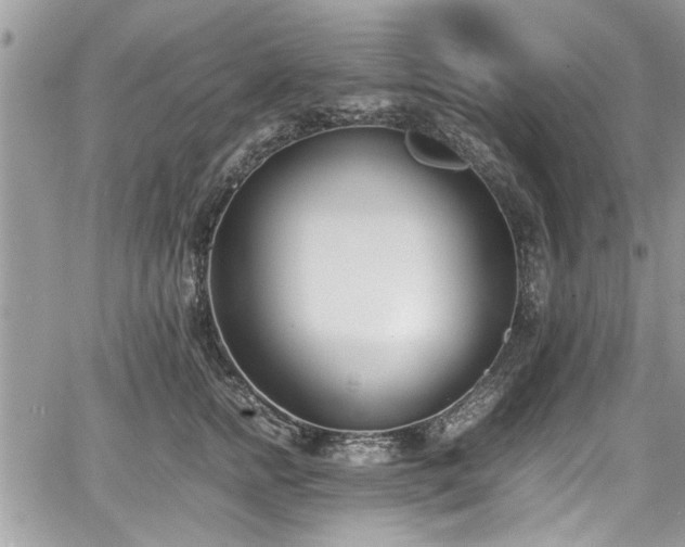 X0000067950758200604171435