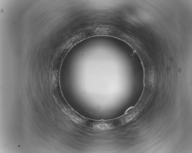 X0000067950759200604171435