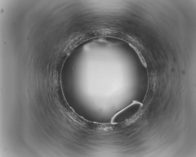 X0000067950760200604171435