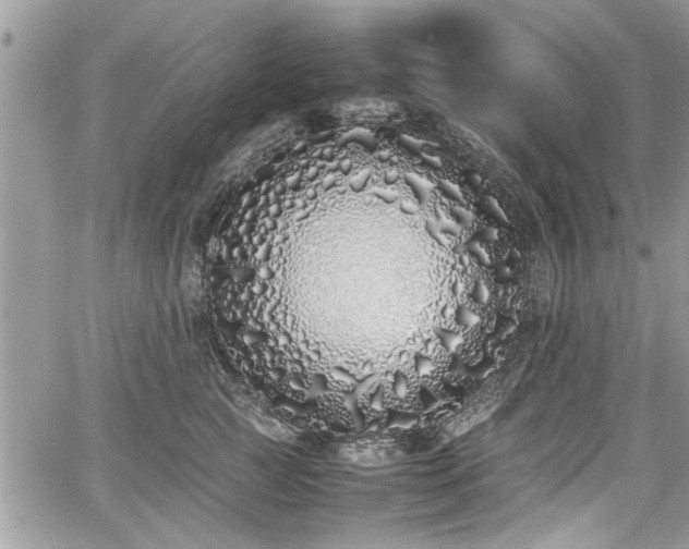 X0000067950761200604171435