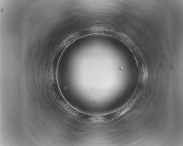 X0000067950762200604171435