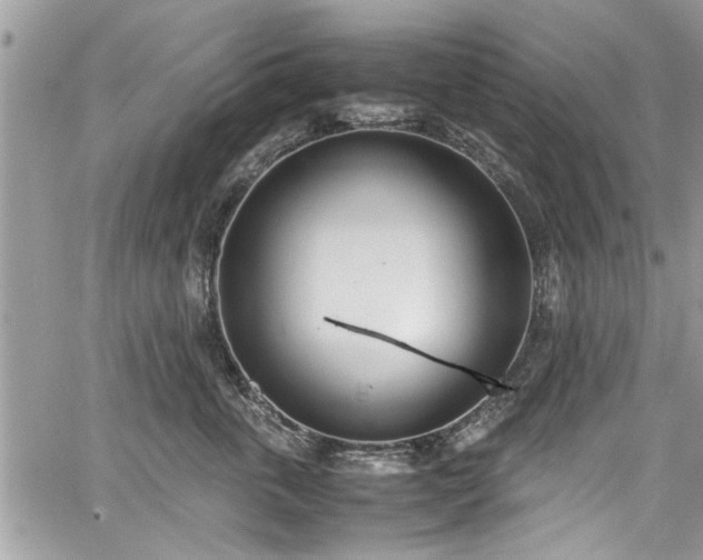 X0000067950763200604171435