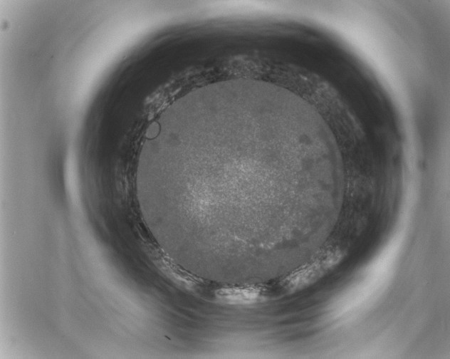 X0000067950765200604171435