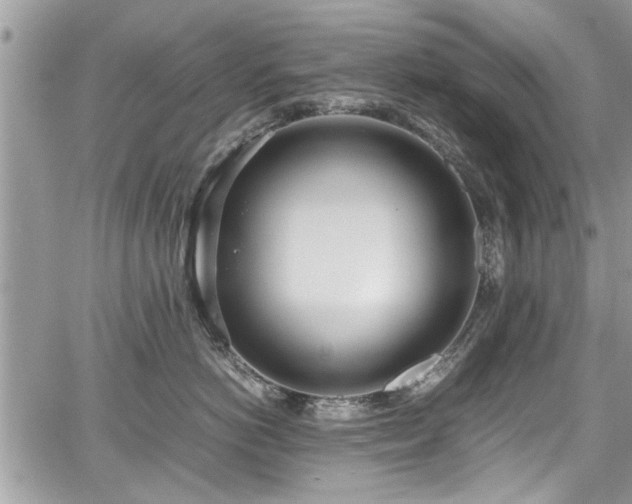 X0000067950766200604171435