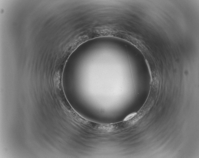 X0000067950767200604171435