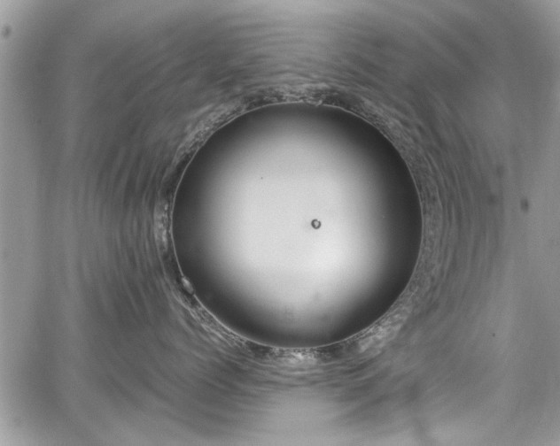 X0000067950768200604171435