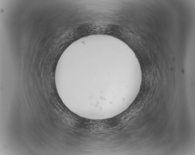 X0000067950769200604171434