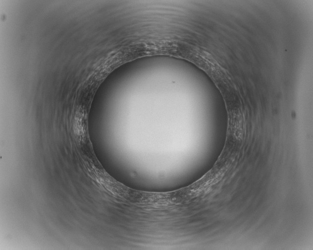 X0000067950770200604171434