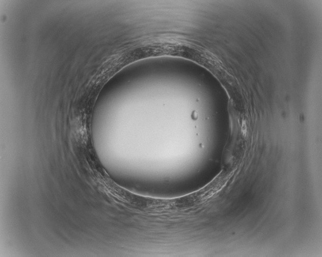 X0000067950771200604171434