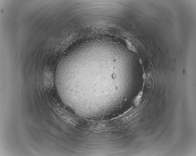 X0000067950772200604171434