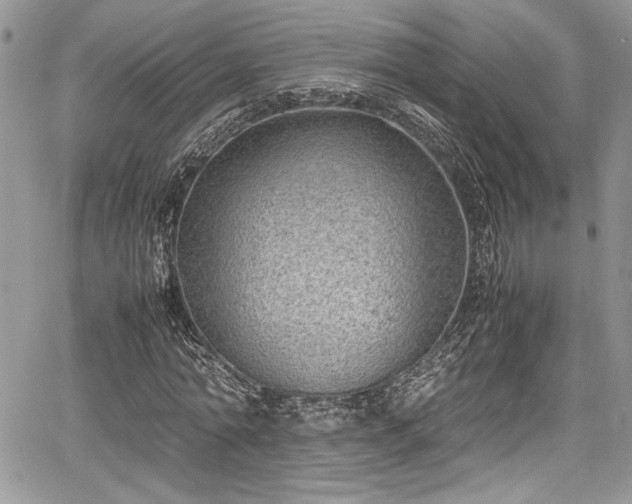 X0000067950774200604171434