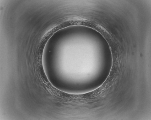 X0000067950775200604171434