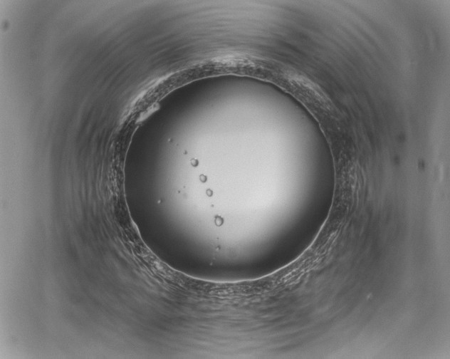 X0000067950776200604171434