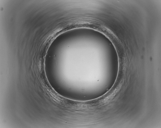 X0000067950777200604171434