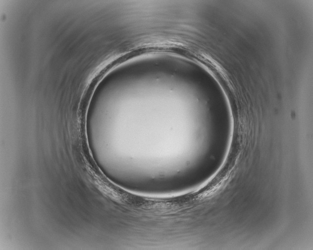 X0000067950779200604171434