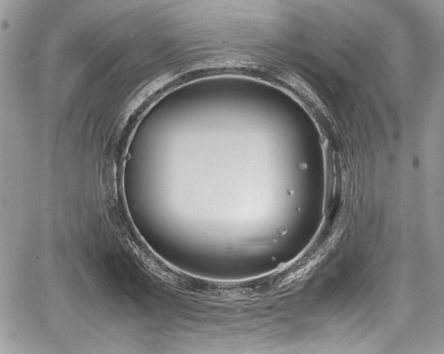 X0000067950781200604171434