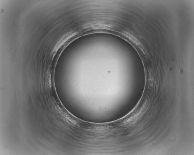 X0000067950782200604171434