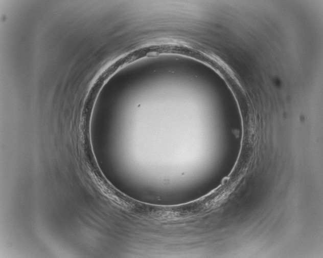 X0000067950783200604171434