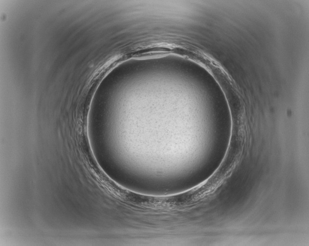 X0000067950785200604171434