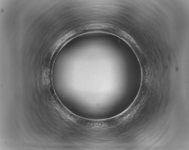 X0000067950786200604171434