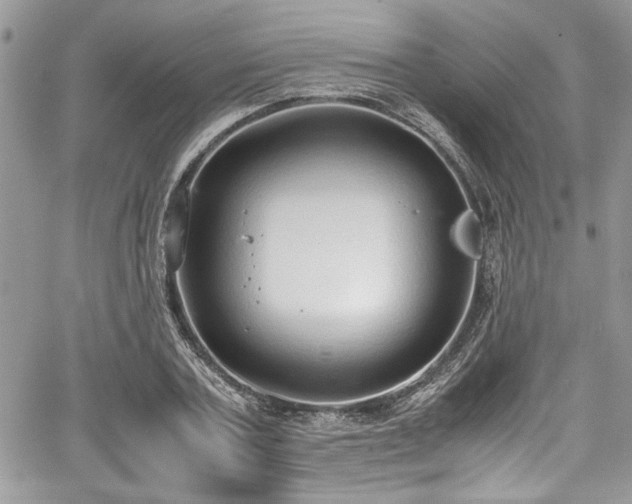 X0000067950787200604171434